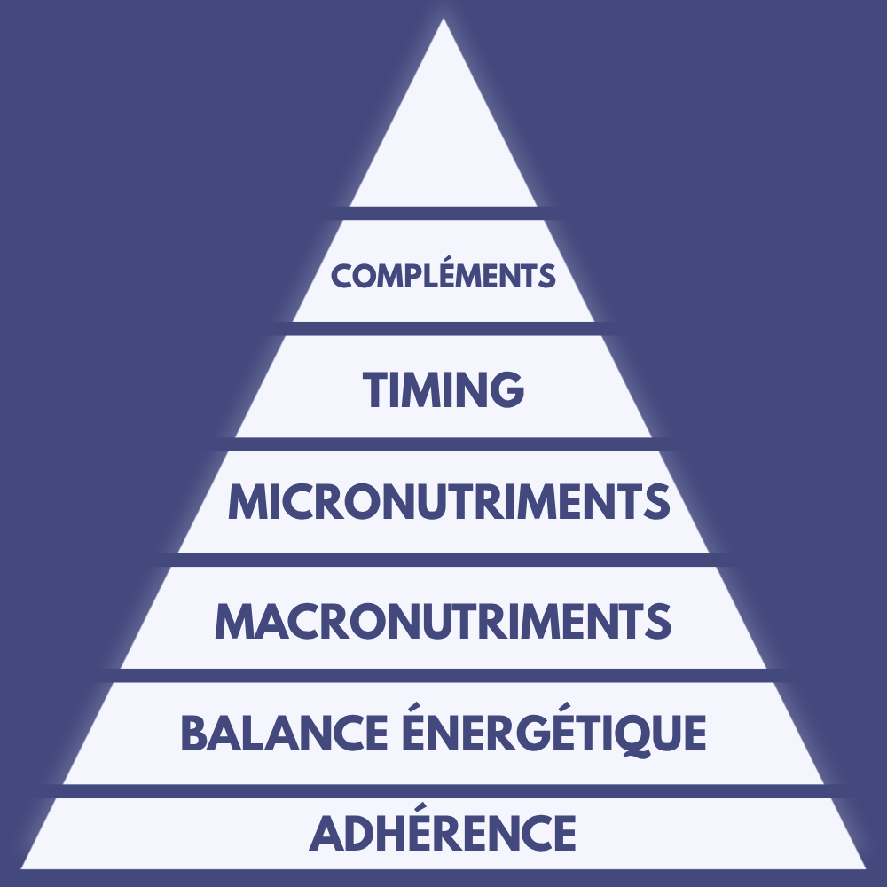 pyramide de la nutrition